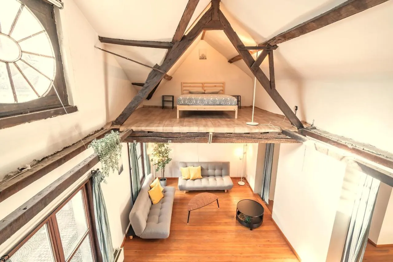 The Old Town Lodge In The Heart Of Antwerp Apartment